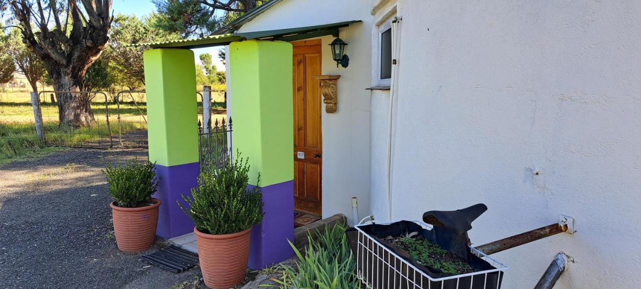 Purple House B&B Smithfield ภายนอก รูปภาพ