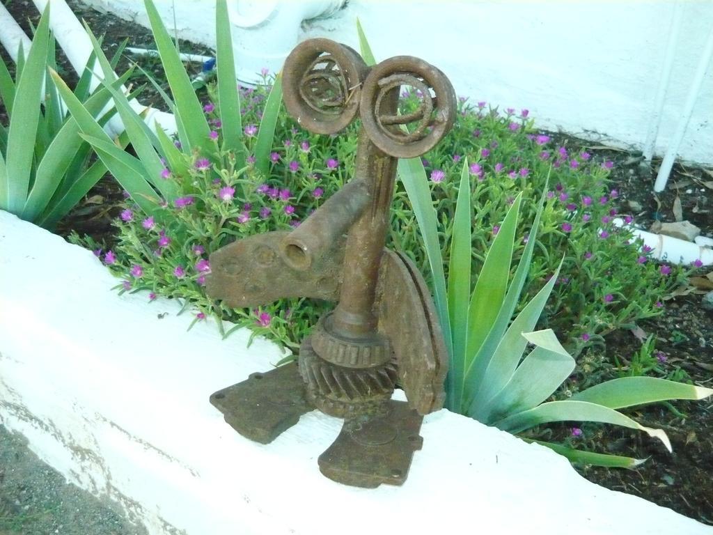 Purple House B&B Smithfield ภายนอก รูปภาพ